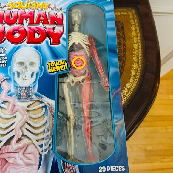 SMARTLAB Toys Squishy Human Body - 21 Removable Body Parts & Anatomy Book NEW - Picture 3 of 12